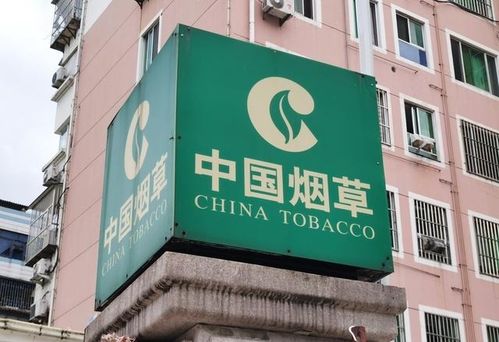 新疆煙草局校招開啟 擴(kuò)招名額，高中起點(diǎn)，專業(yè)不限，軟件開發(fā)崗位吸引貴州學(xué)子