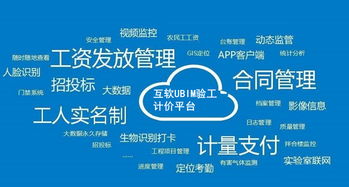 上?；ヂ摼W軟件集團 高端協同管理軟件與企業管理咨詢服務提供商